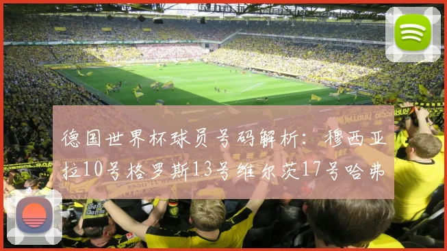 德国世界杯球员号码解析：穆西亚拉10号格罗斯13号维尔茨17号哈弗茨7号的背后故事